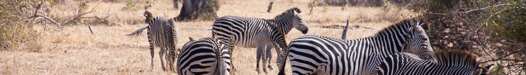 Africa